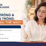 Người phụ nữ so sánh kính đa tròng và kính đơn tròng tại cửa hàng kính